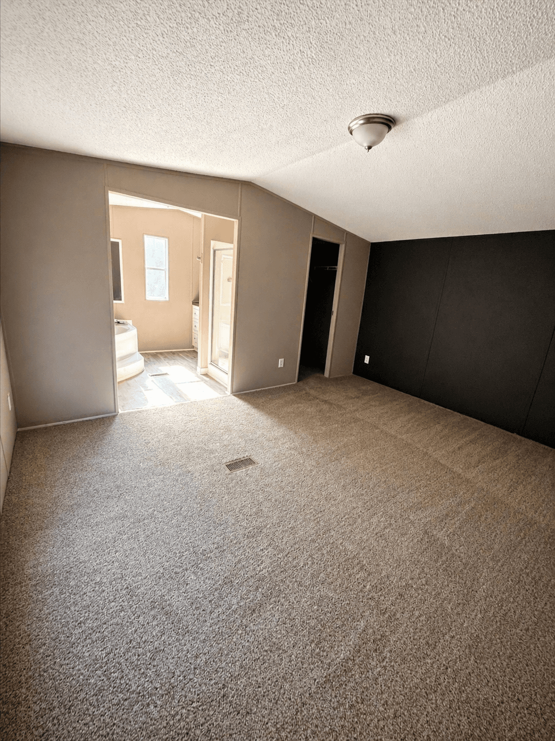 River birch 2009 (repo)  home features