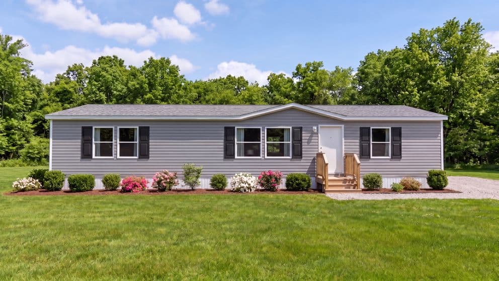 Spruce hero home features