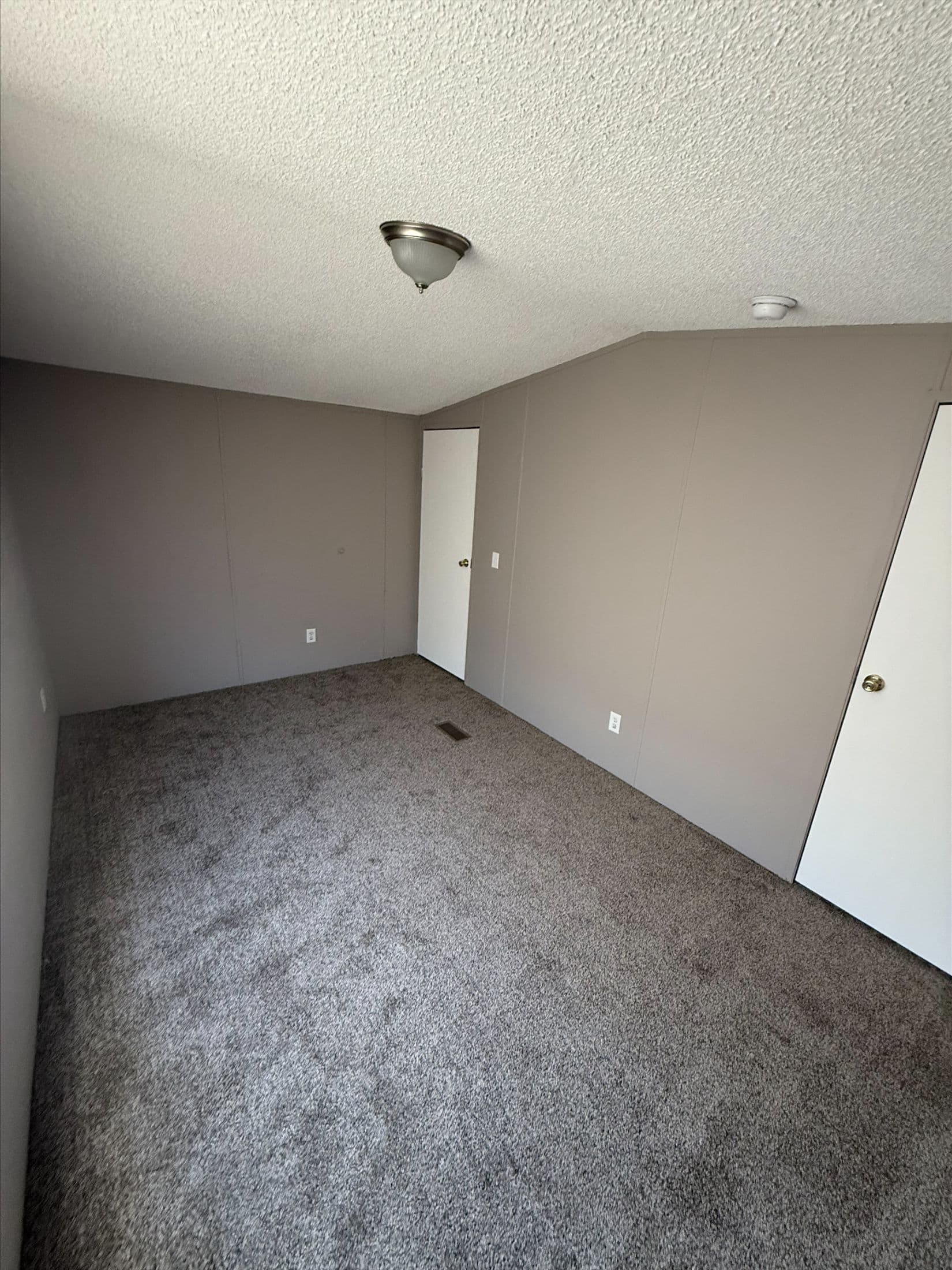 River birch 2009 (repo)  home features