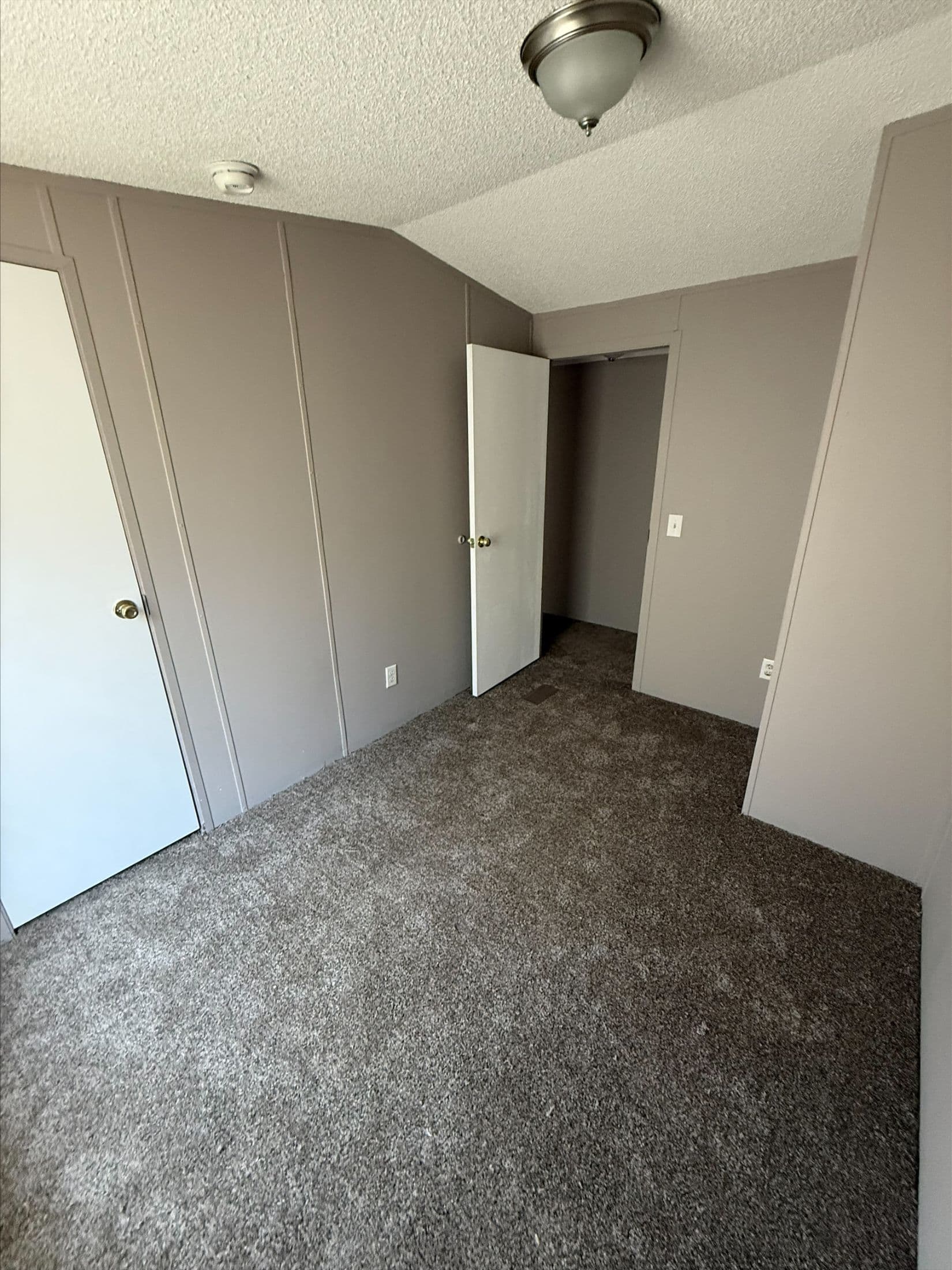 River birch 2009 (repo)  home features