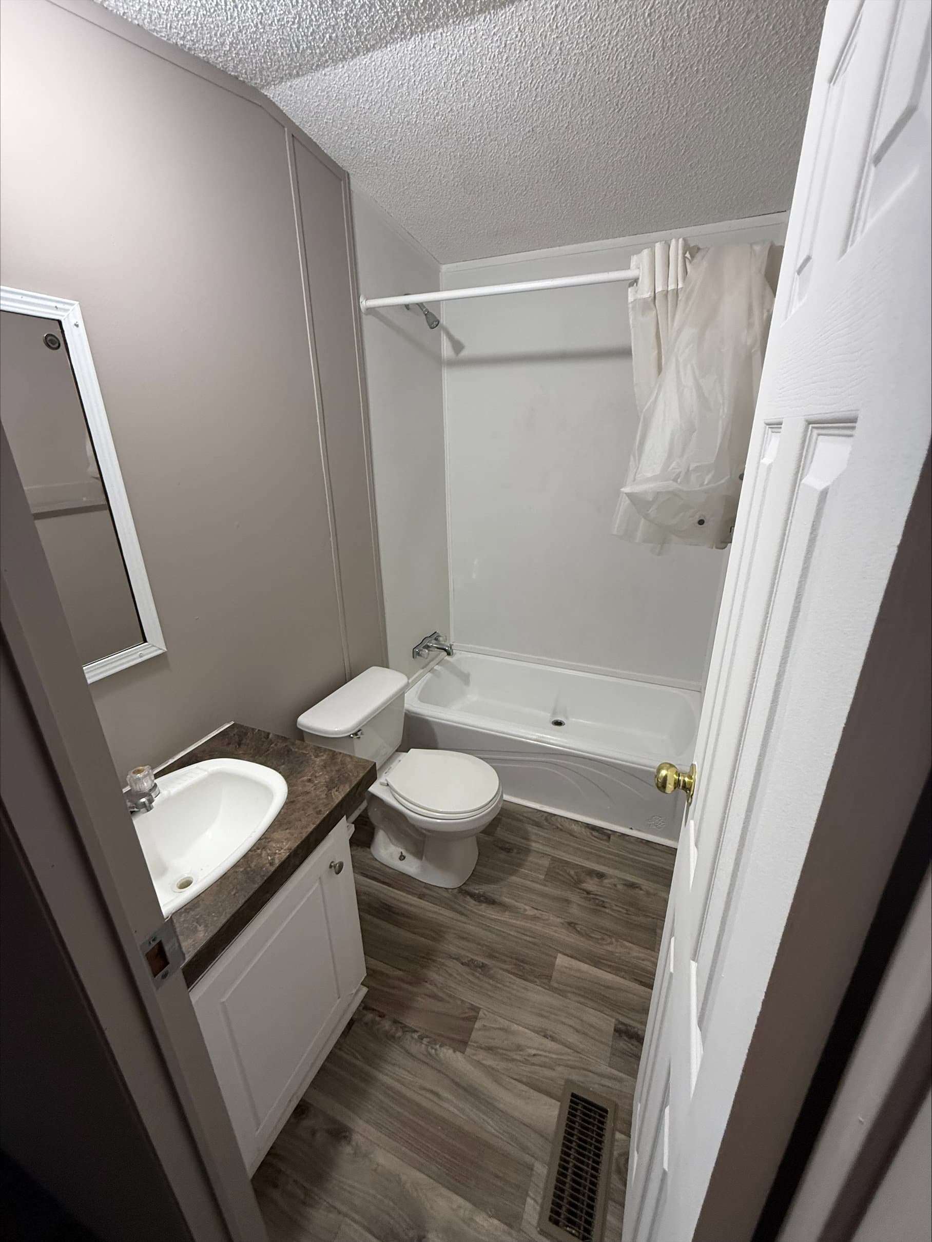 River birch 2009 (repo)  home features