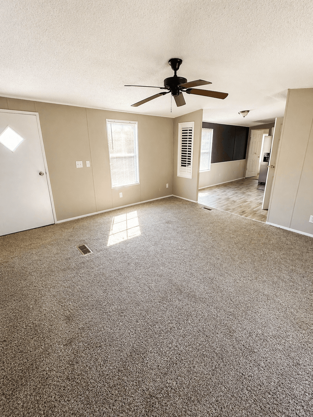 River birch 2009 (repo)  home features